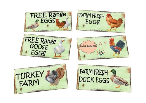 Farm shop fresh - shop,
