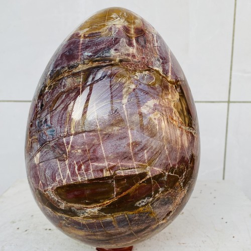 Natural petrified wood egg - petrified,
