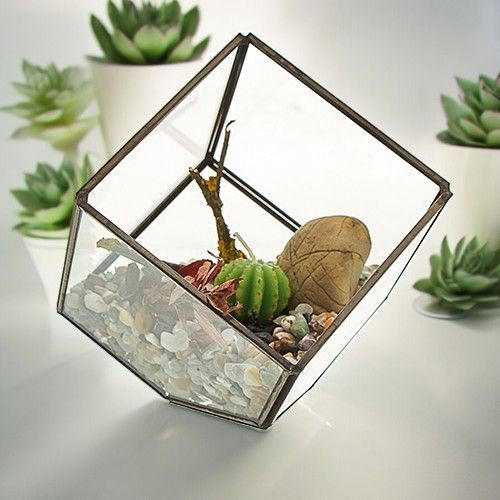 Geometric glass terrarium - geometric,