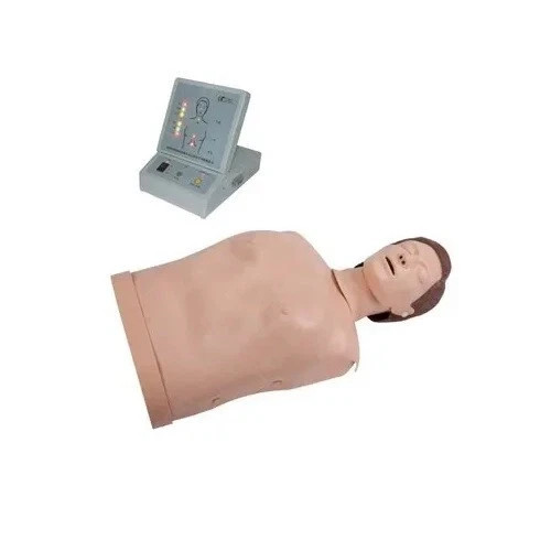 Cpr training manikin half - cpr,