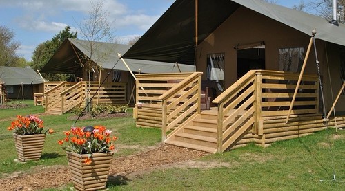 Port lympne bear - lodge, stay