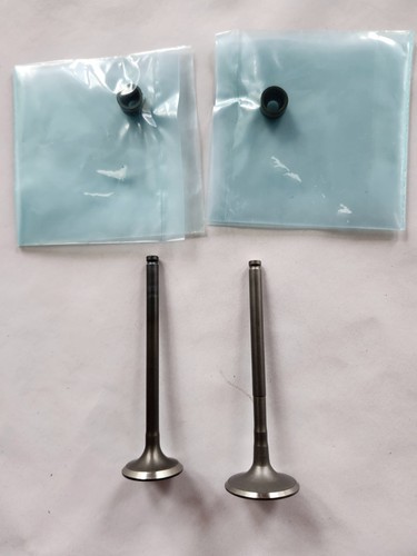 Exhaust and intake valves set - exhaust,