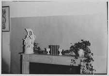 House & garden close-ups