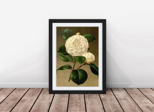 Beautiful flower sketch - beautiful,