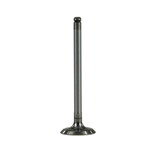 Intake valve for land - intake,