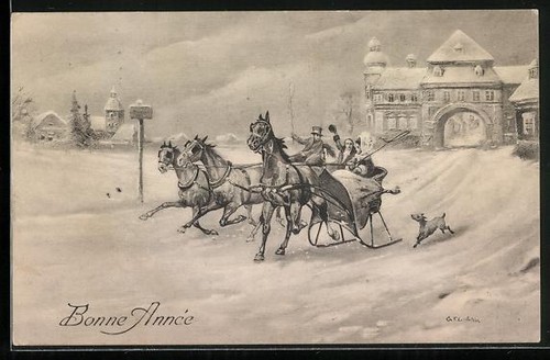 Horse drawn sleigh ride - sleigh,