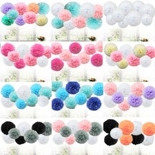 TtS 9pcs Tissue Paper Pompoms