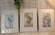 3x Sealed C.M.B. Mounted Flower Fairy Prints 6x8in Wild Rose, Ragwort, Speedwell