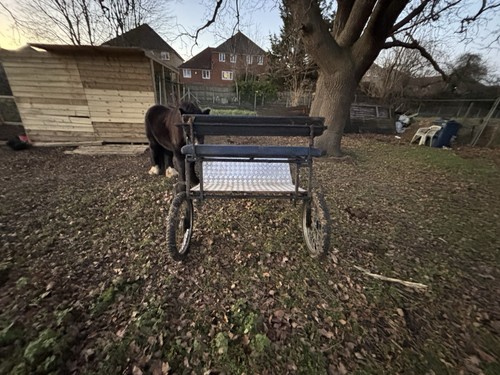 Horse trap cart carriage - trap,
