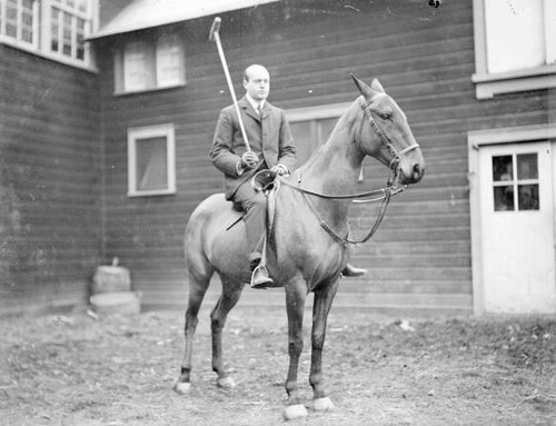 Polo player holding - player,