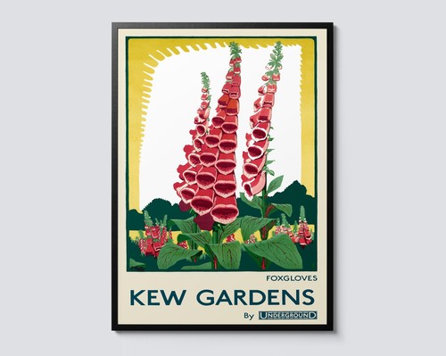 Kew gardens foxgloves vintage - kew,