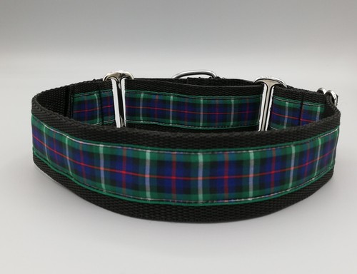 Mackenzie tartan martingale - mackenzie,