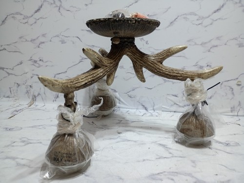 Rustic antler light fixture - 3,