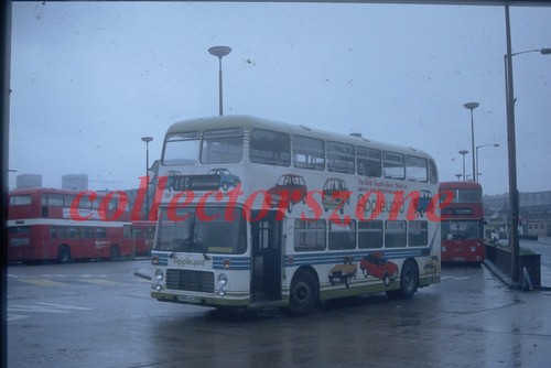 35mm slide 1983 - , riding