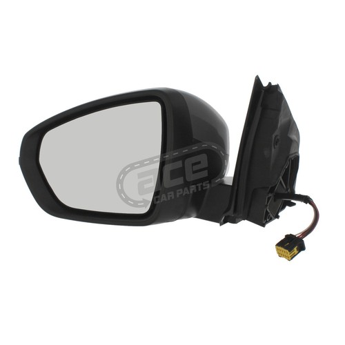 Electric wing door - door, mirror