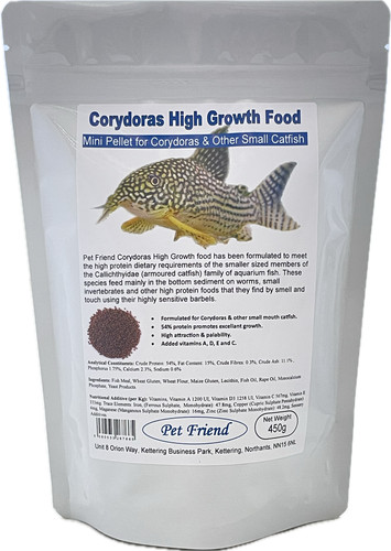 Corydoras catfish food high - corydoras,
