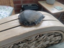 Mesolithic flint stone - stone, age