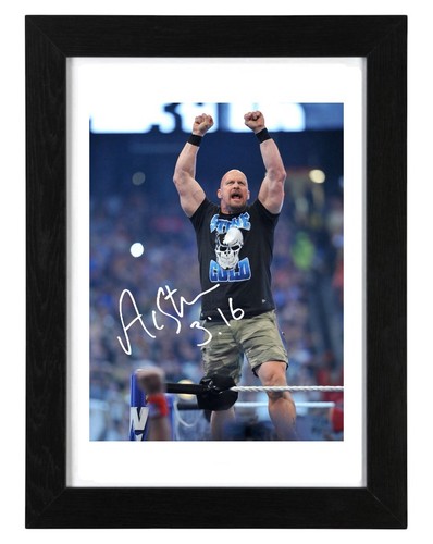 Stone cold steve - steve, austin