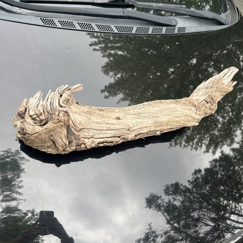 Medium large garden driftwood - medium,