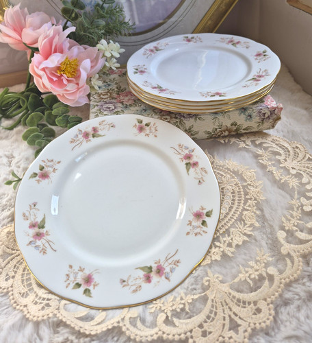 Duchess glen bone china plates - china,