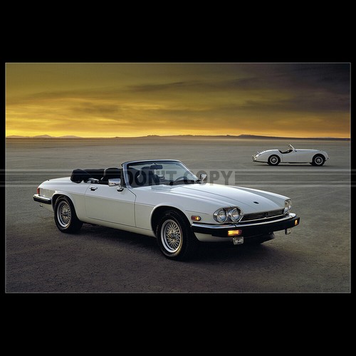 Photo 003432 jaguar - a.003432, xj-s