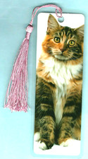 Norwegian Forest Cat Bookmark