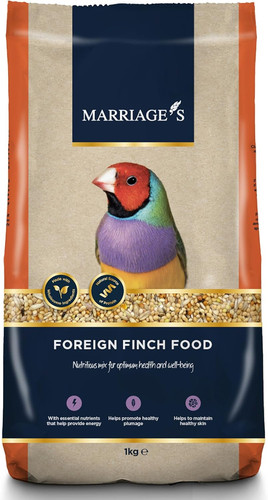 Marriages foreign finch - foreign,