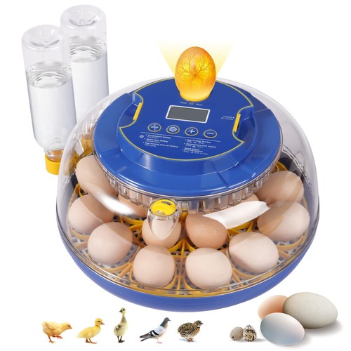 Egg incubators for - incubators,