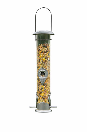 Wild bird seed - wild,