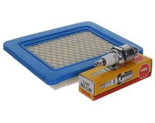 Air Filter & NGK Spark Plug