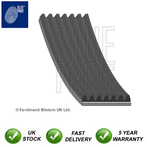 Alternator belt blue print - alternator,