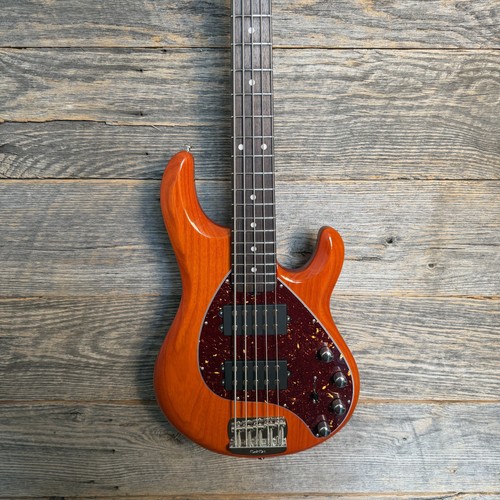 Ernie ball music - ernie, man