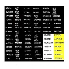 MODEL BUS WATERSLIDE TRANSFERS