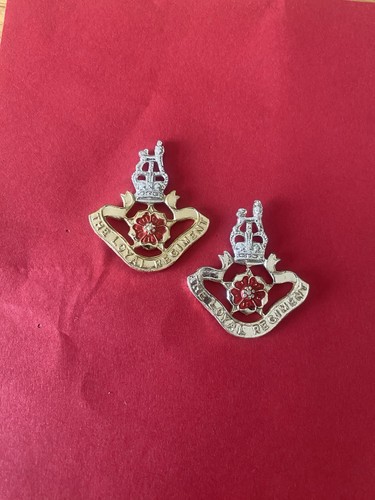 Loyal regiment staybrite - loyal,