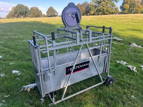 Bateman sheep weight crate - weight,