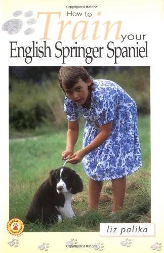 How train your english - to,