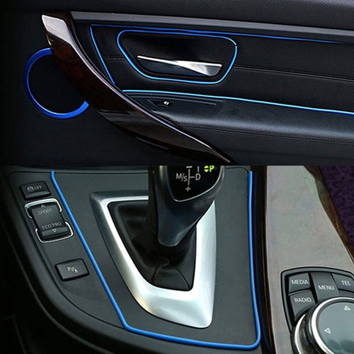 Blue line car door - line,