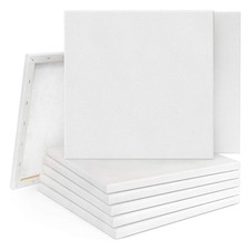 20PCS Blank Artist Canvas Art Board Plain Painting Stretched Framed for Painting