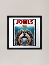 Funny Tibetan Terrier and