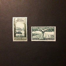 ITALY REPUBLIC 1951 / FESTIVAL