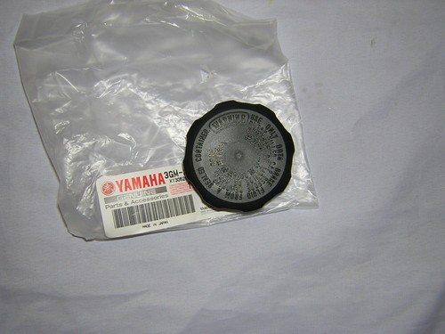Yamaha tz250 front - yamaha,