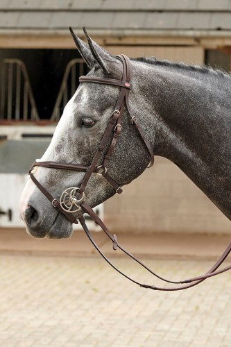 John whitaker ready ride - john, to