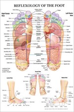 UK ☑☑ - Reflexology of the