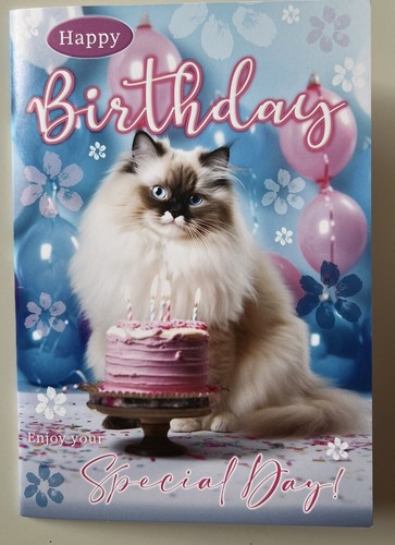 Cute fluffy ragdoll long - cute,
