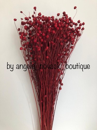 Dried flax flowers wedding - flax,