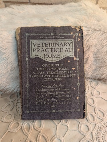 Veterinary practice antique - practice,
