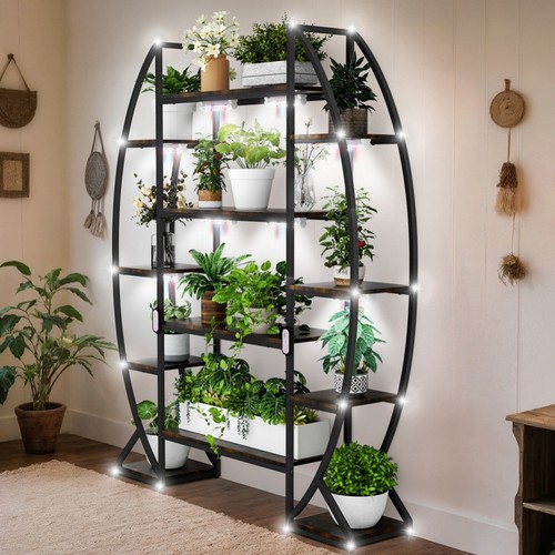 Large tall plant - tall, multiple