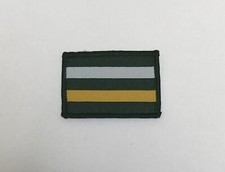 Royal Yeomanry Yeo TRF Badge