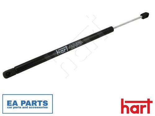Gas spring boot - gas, boot/cargo