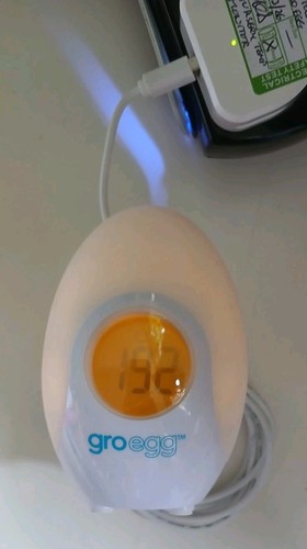 Pat tested tommee - pat, tippee